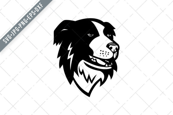 Head of Border Collie Scottish Sheepdog – A Retro Mascot for Modern Design Projects