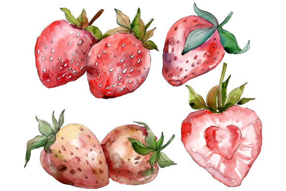Strawberry Red Watercolor: Hand-Painted Design Assets for Creatives