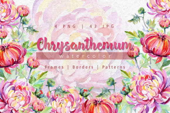 Tender Pink Chrysanthemum Watercolor Set for Creative Projects