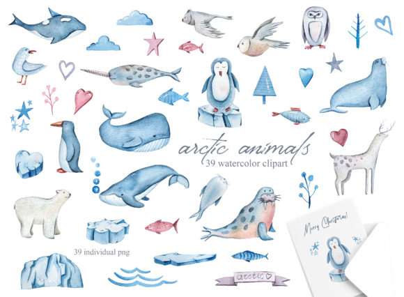 Watercolor Arctic Animals Clipart for Creators